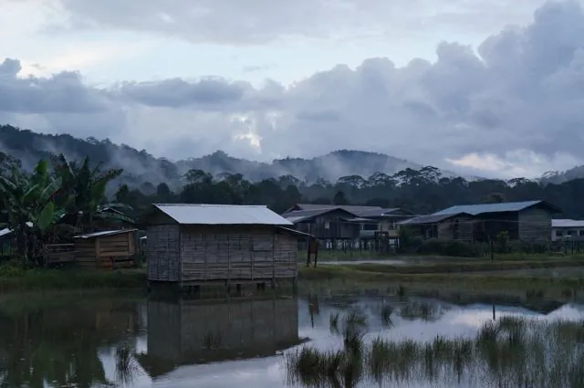 The Kelabit Highlands (Jonny Duncan, Backpacking Man)
