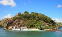 Komodo Dragons and Coral Reefs: Komodo National Park 2 Day Boat Tour