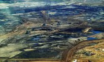 Huge Forest Losses From Oil Extraction in Canada