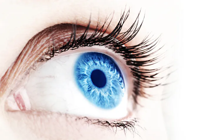 (Anna Omelchenko/iStock/ThinkStock)