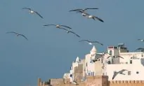 4 World Heritage Sites in and around Marrakech