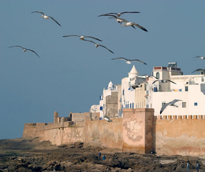 Medina of Essaouria (A Luxury Travel)