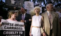 NYFW Opening Pushed Back By Horse-Drawn Carriage Protest
