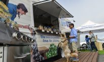 A Food Truck for Dogs