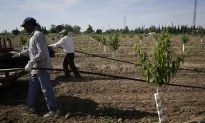 Canadian Researchers Urge Tackling Global Water Stress