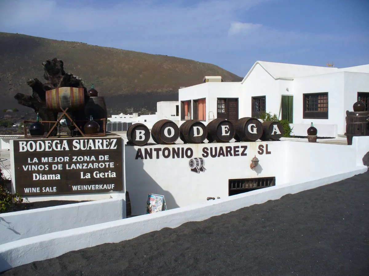 Lanzarote has a number of small vineyards on the central road from Yaiza to San Bartolomé. A handful of wine-selling bodegas dot the road. (Wibke Carter)