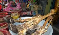 Illegal Wildlife Trade Stopped by Social Media