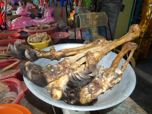 Young bear's feet confiscated from the witchcraft market. Photo credit by Noga Shanee/NPC