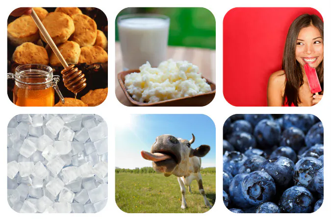 Blueberry Cheesecake Ice Cream collage. (Shutterstock*)