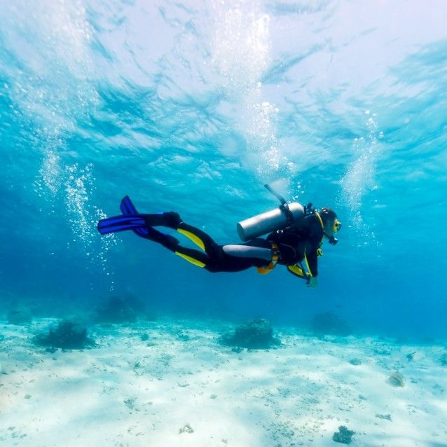 Scuba Dive the pristine reefs (MyDestination.com)