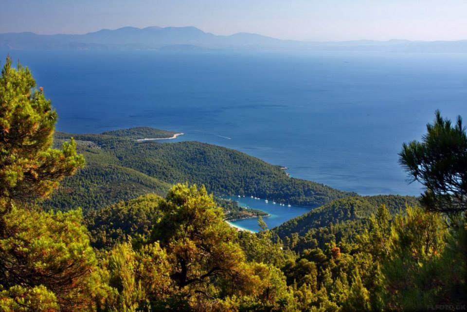 Skopelos  (MyDestination.com)