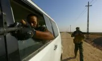 The Traveling Terrorism Fallacy