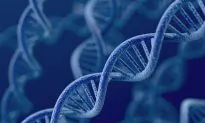 4 Things You Should Know About Gene Patents