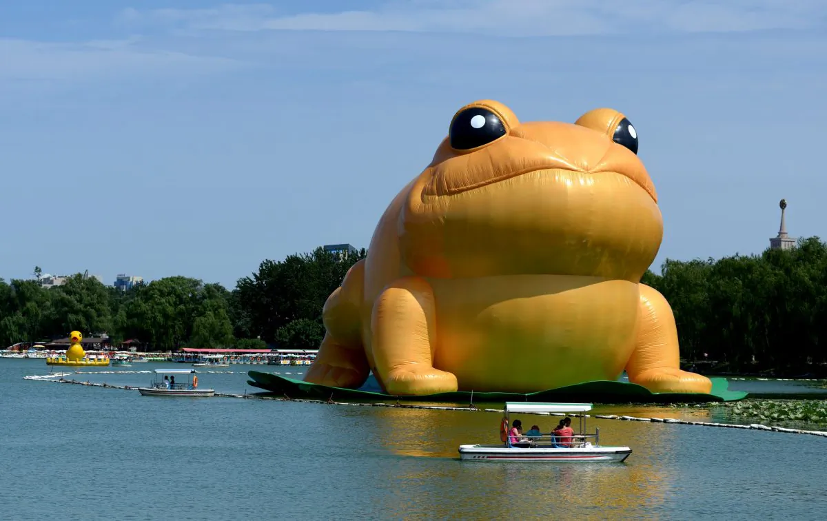 A 22-metre tall inflatable 'big golden toad' by Chinese artist Guo Yongyao from Ningbo, displayed at Yuyuantan Park in Beijing on July 21, 2014. The broadcast of new Chinese movie called 'Boiled Golden Toad' is understood by many Chinese to indicate that former leader Jiang Zemin is in danger. (Wang Zhao/AFP/Getty Images)