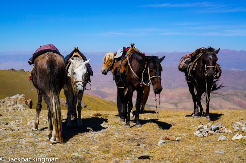 Horses on mountain pass. (Jonny Duncan, Backpacking Man)