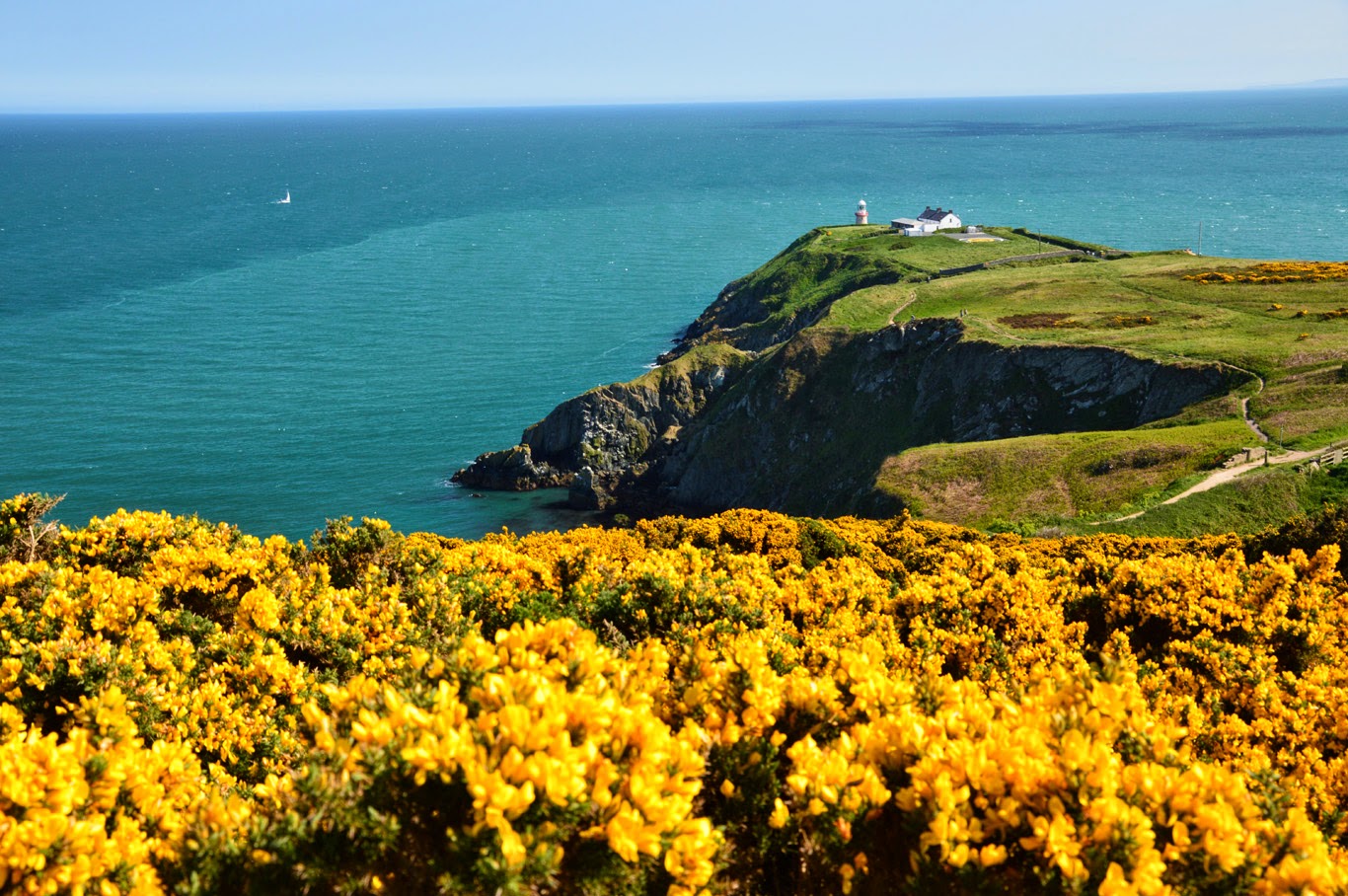 Howth (Tomasz Lisowski, Adventurous Travels)