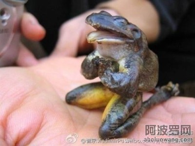 Epoch Times Photo