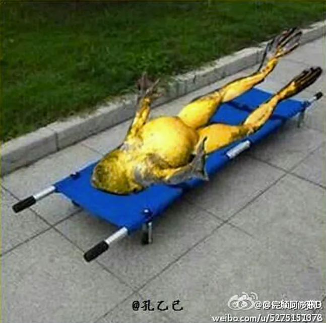 A Chinese netizen posted a photoshopped picture of a toad lying unconscious on a stretcher and speculated that Jiang is hospitalized for advanced cancer and nearly dead. (Weibo.com)