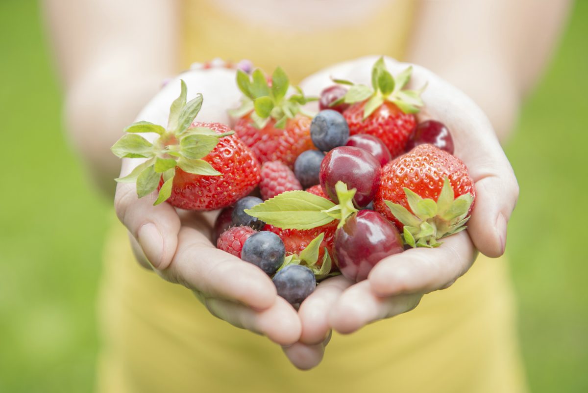 Older women who ate at least a cup of strawberries per week delayed cognitive aging by up to two and a half years.