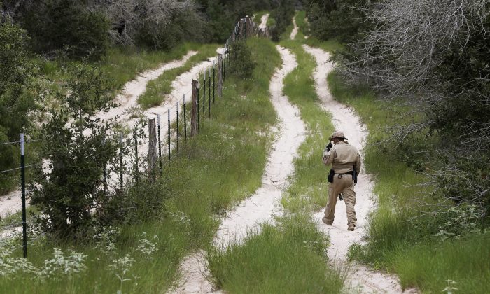 FILE - In this Sept. 5, 2014 file photo, a U.S. Customs and Border Protection Air and Marine agent looks for signs along trail while on patrol near the Texas-Mexico border near McAllen, Texas. President Barack Obama, who has postponed until after Election Day his plan for executive actions that could shield millions of immigrants from deportation, is already on pace this year to deport the fewest number of immigrants since at least 2007, according to a new analysis of Homeland Security Department figures by The Associated Press.  (AP Photo/Eric Gay, File)