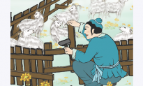 Chinese Idioms: Mend The Pen After A Sheep Is Lost (亡羊補牢)