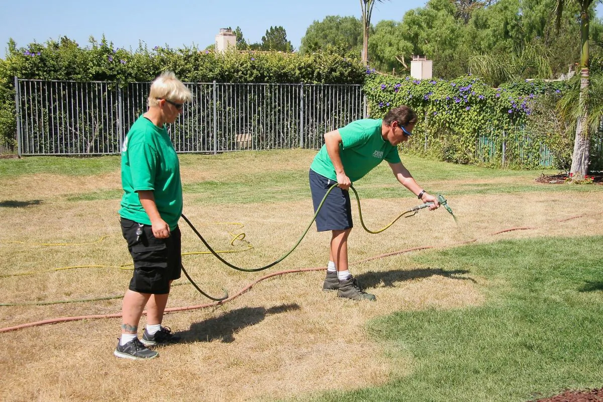 Lawn Paint Pros paints the lawn of a Camarillo, Calif. resident on Sept. 12. Lawn painting has taken off as a way to save on water while still having a lush-looking, green lawn. (Sarah Le/Epoch Times)