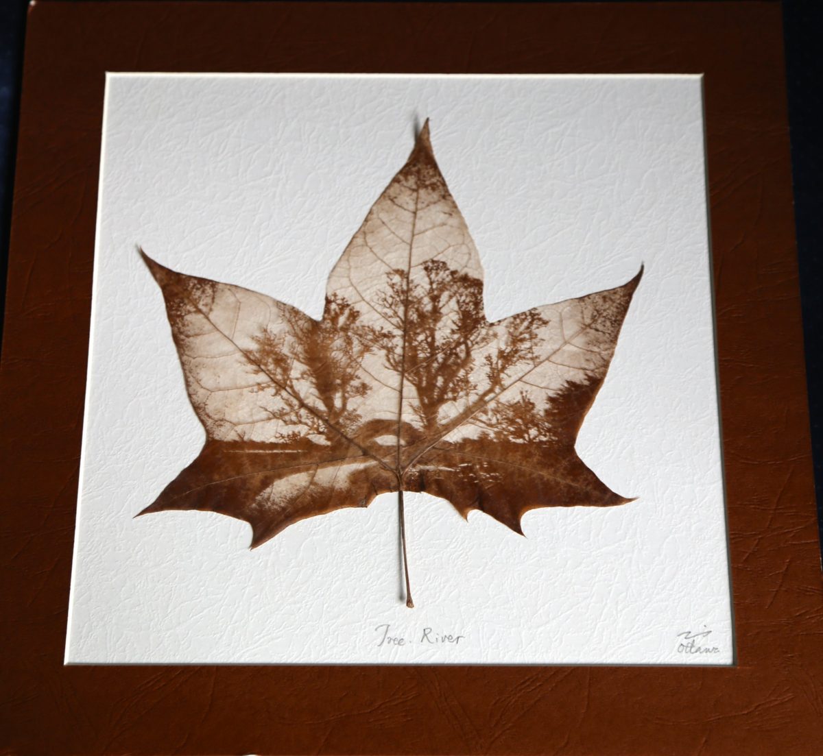Daniel Lee, Leaf Artist Extraordinaire