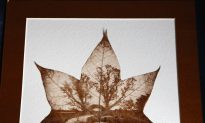 Daniel Lee, Leaf Artist Extraordinaire