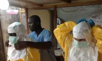 Genetic Evolution: How the Ebola Virus Changes and Adapts
