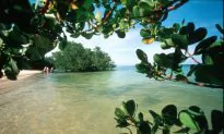 Robinson Crusoe Chic: Chumbe Island
