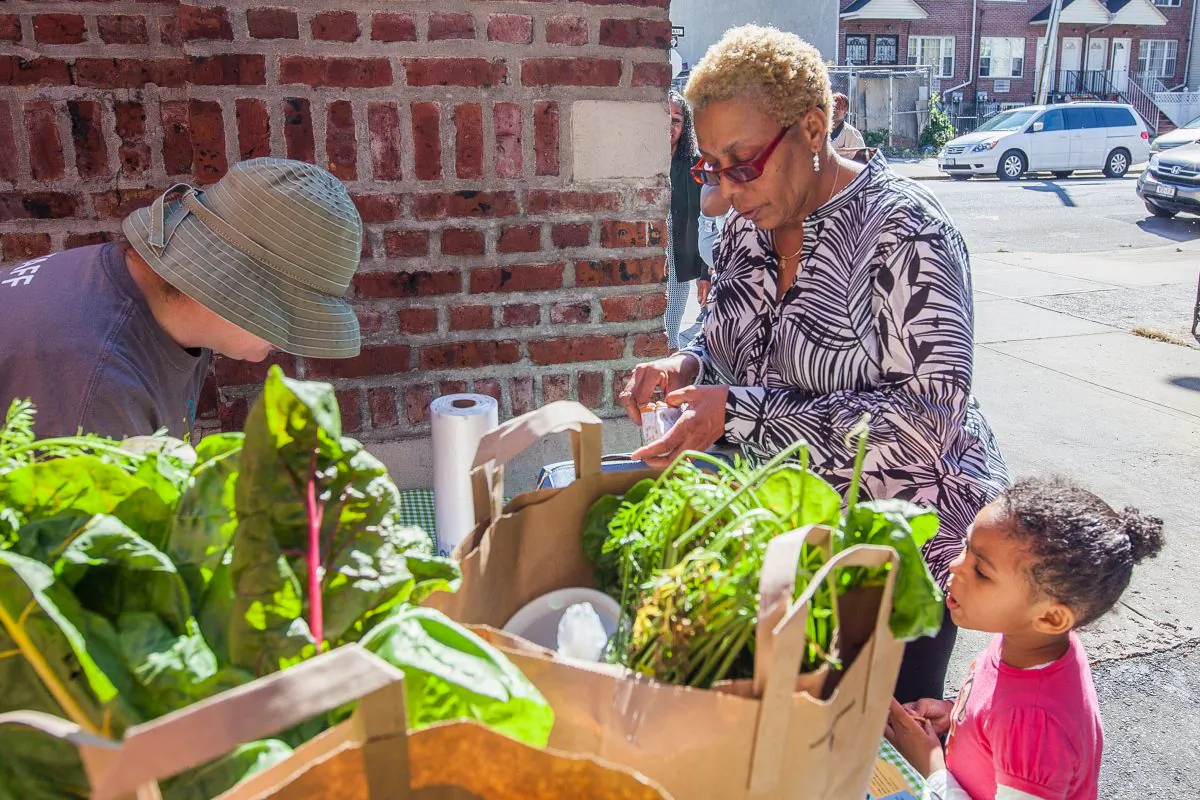 Susan Zanet and her granddaughter Avigail Herndton pick up vegetables at the Bishop Sexton Head Start preschool, Bedford-Stuyvesant, Brooklyn, Sept. 17, 2014. (Petr Svab/Epoch Times)