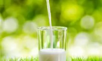 Excellent Natural Calcium Sources for Bone Health