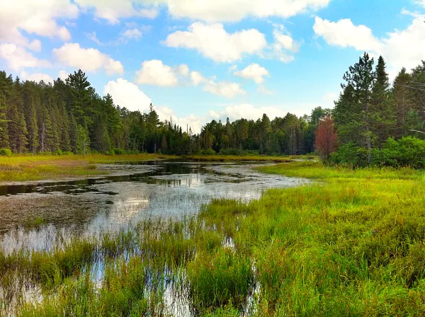 Canadian beaver pond near North Bay, Ontario (Ted Nelson, Traveling Ted)