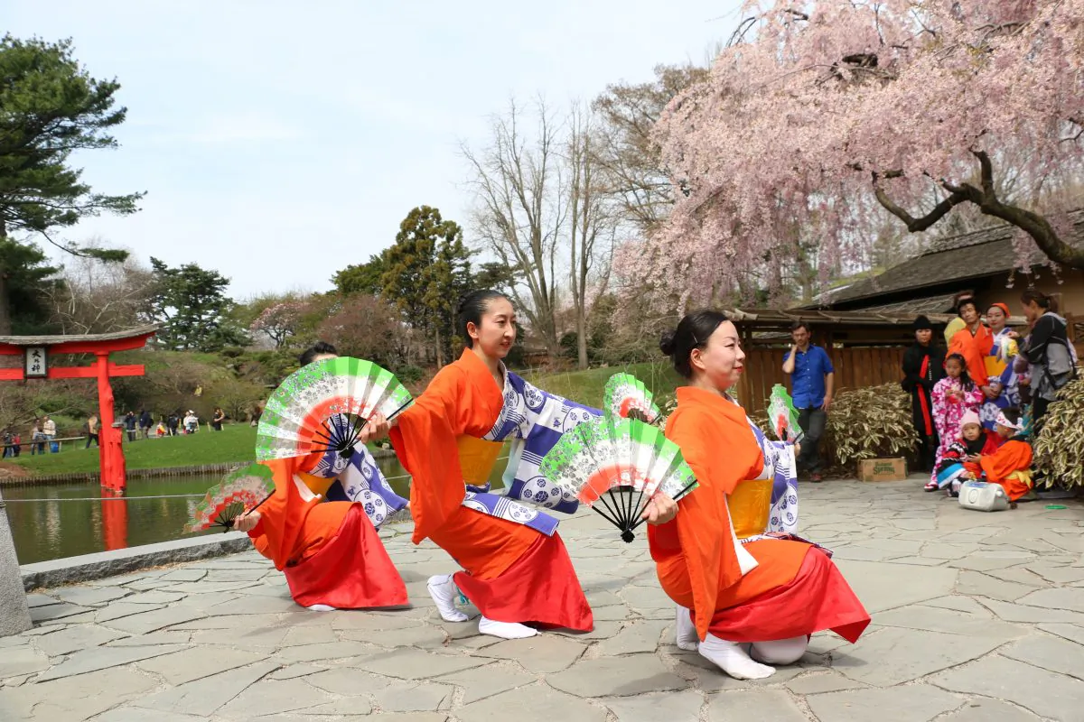 On Earth Day, the Brooklyn Botanic Garden showcased a preview of the activities to be held at the Cherry Blossom Festival, or Sakura Matsuri coming up this weekend. April 22, 2014 (Seth Hirsch/Epoch Times)