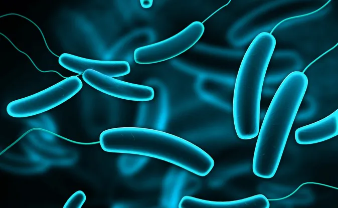 Are Gut Bacteria the Secret to Losing Weight?