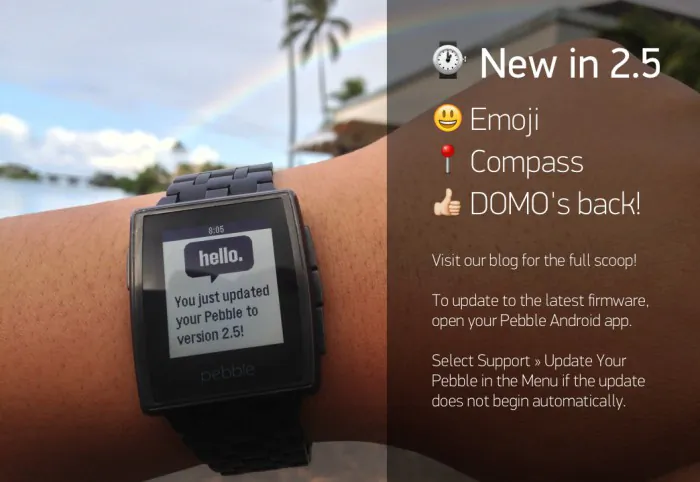 Pebble Courtesy of Pebble)