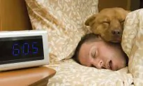 Brain ‘Node’ Causes Deep Sleep Without Sedative