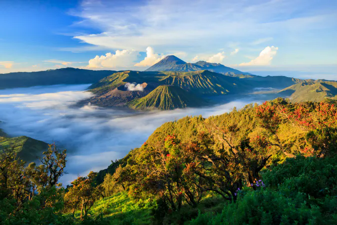 Indonesia (*Shutterstock)