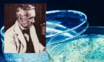 Harvard Scientists reveal how penicillin deals bacteria a devastating blow