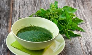 8 Reasons to Add Stinging Nettles to Your Healing Plan
