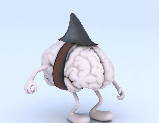 This Is Your Brain on Fish