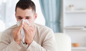 Foods That Fight the Common Cold