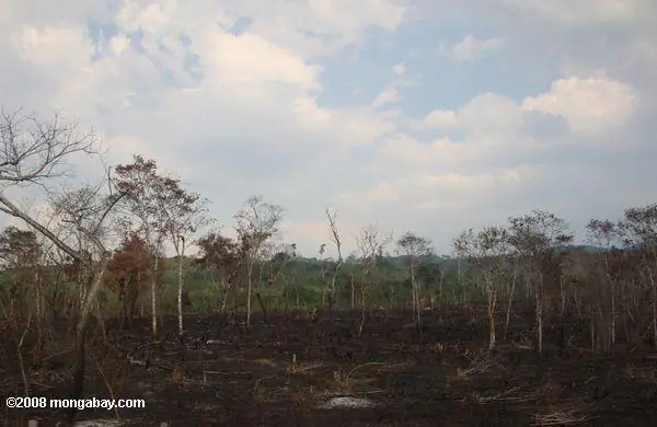 Anti-Mining Activist Shot Dead in Guatemala