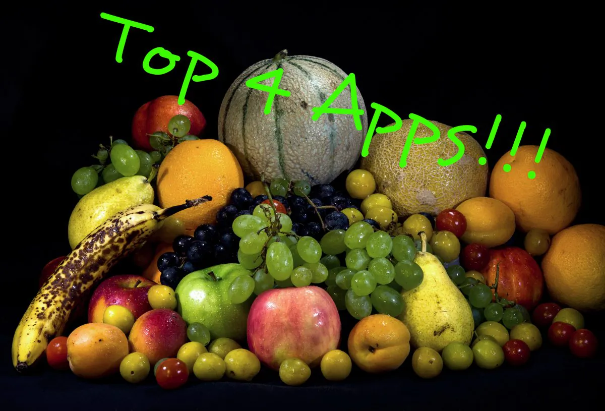This picture taken on Aug.7, 2014 shows vegetables, in Lille, northern France. (Philippe Huguen/AFP/Getty Images; effects added by Epoch Times)