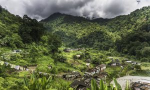 Tribal Tours Gives You Everything North East India Has to Offer 