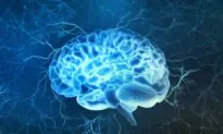Study Finds Anorexia Causes ‘Sizeable Reductions’ in the Brain