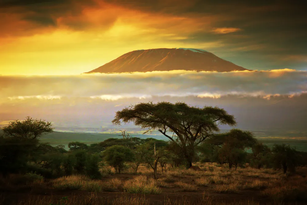 Tanzania (Shutterstock*)