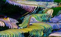 Tasting Luxury in Burma Before the Crowds Arrive