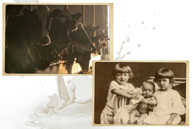 Right: A baby drinking milk in the 1920s, at a time when pasteurization had already become popular but its pitfalls were still widely discussed. (Shutterstock*) Left: A file photo of a dairy farm. (Shutterstock*) Background: Milk (Thinkstock)