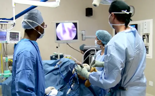 9-Pound Hairball Removed From Teen’s Stomach (Video)